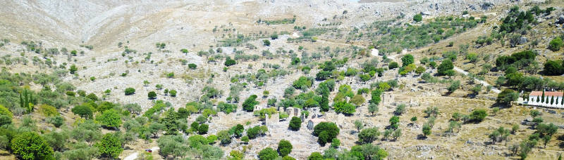 Landschaftsfoto: Felsen mit einzelnen Bäumen drin