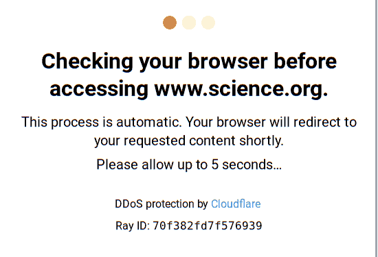 Screenshot einer Cloudflare-Verzögerungsseite