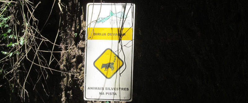 Foto eines Schildes aus Portugiesisch: Vorsicht, Waldtiere auf der Straße