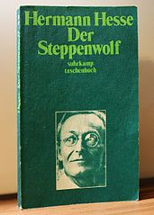 Foto der Suhrkamp-Ausgabe des Steppenwolfs