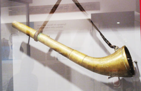 Ein bronzen schimmerndes Horn von etwa 50 cm Länge