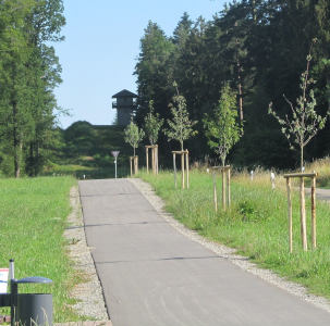 A bikepath with young trees next to it, leading up a wooded slope through which a swathe is cleared.  Against the sky, a watchtower can be seen.