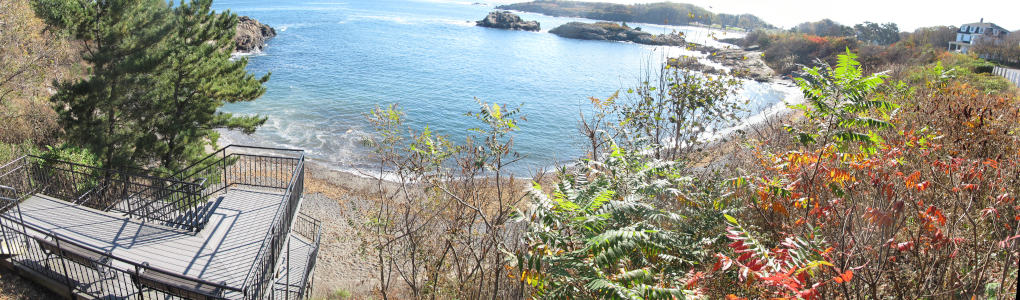 A cove with stairs leading down to the beach, plants, and blue water.