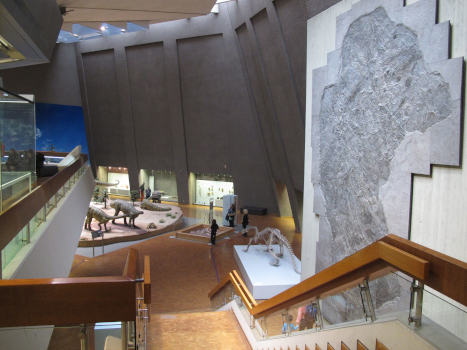 Ein moderner, hoher Raum.  Eine Treppe führt zu diversen Fossilien, an einer Wand hängt eine mehrere Meter hohe schwarze Platte mit viel Struktur.