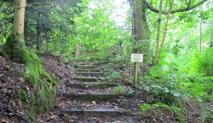 Durch einen lichten, nach links hin ansteigenden Wald führt ein als naturnahe Treppe ausgeführter Weg.  An dessen Rand steht ein Warnschild: „Vorsicht Stechgefahr Bienen!“.