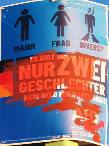 Plakat mit blauem Hintergrund, schwarz: "Mann Frau Divers?", darunter weiß auf schwarz: "Es gibt nur zwei Geschlechter kein Geld für Gender-Gaga"