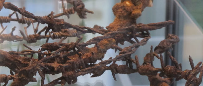 Rostiger Stacheldraht in einer Vitrine